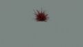 Preview Land vn c urchin red.jpg
